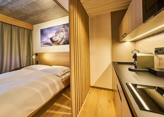 Labska 20 - Apartmanovy Dum * Špindlerŭv Mlýn