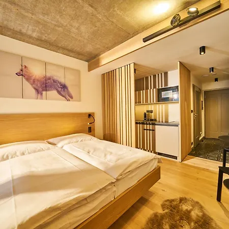 Labska 20 - Apartmanovy Dum Spindleruv Mlyn