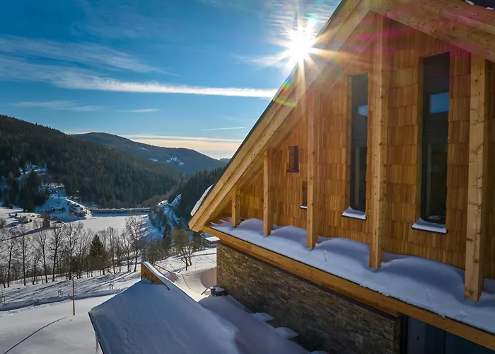 Labska 20 - Apartmanovy Dum * Spindleruv Mlyn