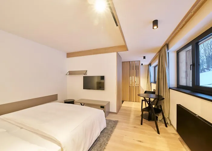 Labska 20 - Apartmanovy Dum * Špindlerŭv Mlýn